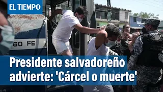 "Cárcel o muerte": Bukele advierte a jóvenes salvadoreños de consecuencias con pandillas | El Tiempo