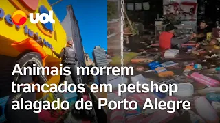 Rio Grande do Sul: Animais morrem trancados em petshop alagado de Porto Alegre; veja vídeo