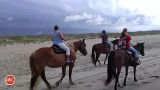 OBX Daydream | Horseback Excursion