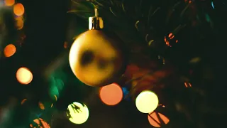 Merry Christmas 🎄🎄🎄