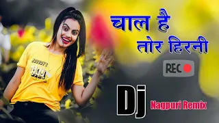 Chal Hai Tor Hirni Nagpuri Dj Song 2023 || Nagpuri Dj Remix Song || Nagpuri official 007 ||