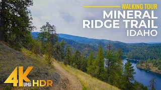 Relaxing Beauty of Idaho Nature in 4K HDR - Sunny Day Forest Hike on Mineral Ridge Trail