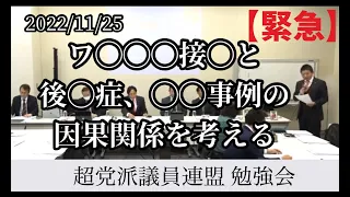 【参政党】神谷宗幣　2022年11月25日　超党派議員連盟　勉強会①  参議院　参議院議員　国会議員　国政政党