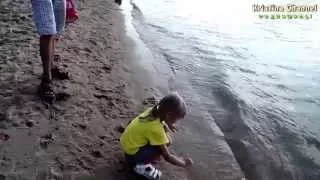 "Щенячий патруль" на пляже, щенки играются, "Puppy Patrol" on the beach, puppies played