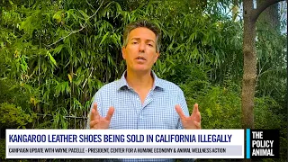 Kangaroo Leather Shoes are Being Sold in California Illegally