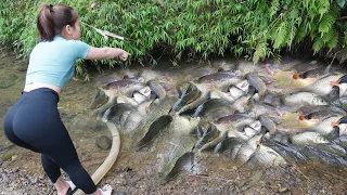 FULL VIDEO:Harvesting Fish - cast net fishing video to catch many big fish,phung mai anh