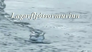 Legendary Sea Monster Video Revealed