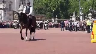 Великобритания, г. Лондон. Церемония смены караула у Букингемского дворца в Лондоне.
