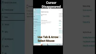 How to fix cursor disappeared problem | Lenovo cursor problem