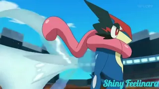 Pokémon AMV Can't Hold Us