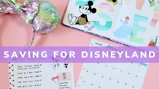 BUDGET WITH ME | SAVINGS PLAN FOR DISNEYLAND | GOWILD 2021