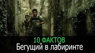 10 фактов о фильме "Бегущий в лабиринте"