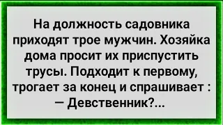 Три Садовника и Озабоченная Хозяйка! Сборник Свежих Анекдотов! Юмор!