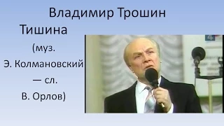 Владимир Трошин - Тишина