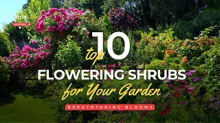 Breathtaking Blooms: Top 10 Flowering Shrubs For Your Garden 🌸🌹🌺 // Gardening Tips