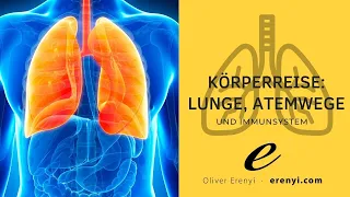 Impulsmeditation Körperreise: Lunge,  Atemwege und Immunsystem