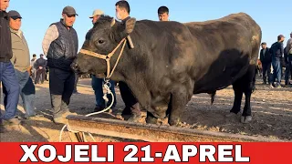 21-АПРЕЛЬ/ХОЖЕЛИ МАЛ БАЗАРЫ/СКОТНЫЙ РЫНОК/BUQALAR/BIG BULLS IN THE WORLD/BIG COW