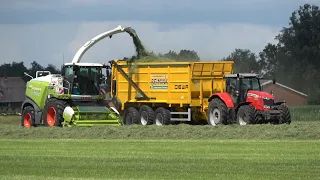 Gras hakselen door loonbedrijf Reimink met Claas Jaguar 950 en 2 Massey Ferguson trekkers (2022)