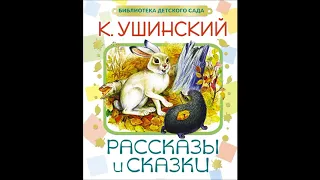 Ушинский Константин