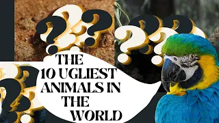 Die 10 hässlichsten Tiere der Welt 2022, The 10 ugliest animals in the world