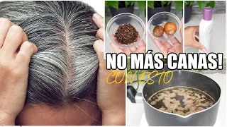 Solo agrega esto a tu shampoo y elimina las canas para siempre ✨