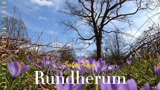 Rundherum Sulm-Auen | Schloss Seggau | Südsteiermark