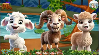 Cute Little Animals Making Funny Sounds:  Goat, Sheep, Buffalo - Animal Sounds