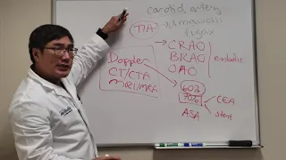 Carotid Artery and Amaurosis