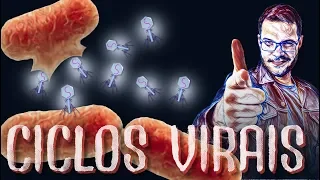 Vírus - ciclo lítico e ciclo lisogênico (com animação!) (Mais Biologia, com Roger Maia)