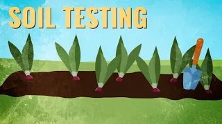 Ready to plant? Not til you test your soil | Year-Round Gardening | Gardening tips