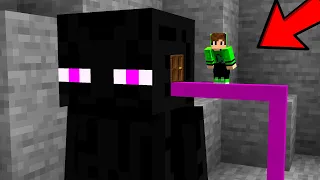 Entrei dentro dos Mobs no Minecraft!