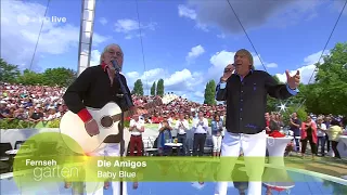 Amigos - Baby Blue - ZDF Fernsehgarten 20.08.2017