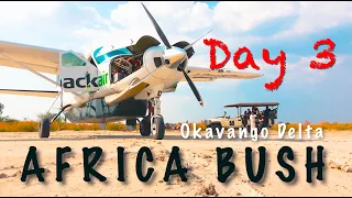 Africa Bush Flying //  Central Kalahari Game Reserve and Botswana's Okavango Delta  bush plane Day 3