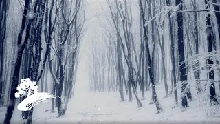 Winter, Fire & Snow - Órla Fallon [Christmas Visualizer]
