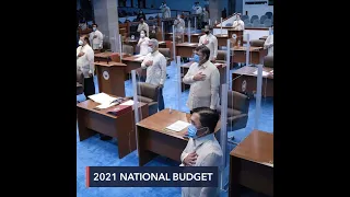 Senate passes P4.5-trillion 2021 budget bill on final reading