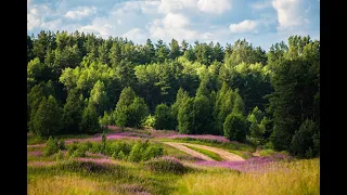 Пешие и велосипедные маршруты по Ленинградской области . Колтушские высоты- 1.