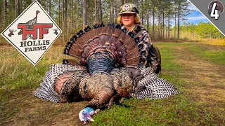 TURKEYS EVERYWHERE!!! - (Hunting and Habitat w/Hollis Farms!)