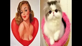 Девушки и котики в силе пин-ап (Pin-Up).