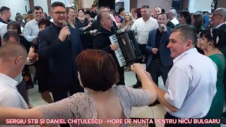 SERGIU STB SI DANIEL CHITULESCU - HORE DE NUNTA PENTRU NICU BULGARU