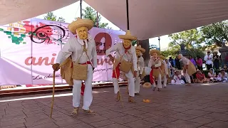Danza de Guangoches Michoacán - Grupo de Danza Sones, Gustos y Amor por las tradiciones