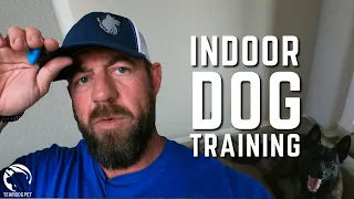 How To Train an Indoor Dog