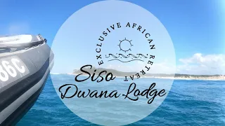 Siso Dwana Lodge - Diving in Sodwana Bay