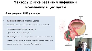 Пациентские лекции: Инфекции мочевых путей. Профессор Зайцев А.В.