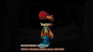 Triple trouble kaizo mix (Whisperer edition) Sally section