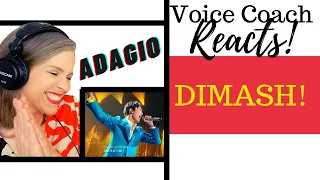 DIMASH KUDAIBERGEN | THE SINGER 2017《Adagio》Voice Coach Reacts and Deconstructs