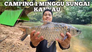 Camping Fishing 1 Minggu hujan deras di hulu sungai kanyau mencari ikan semah langsung di masak