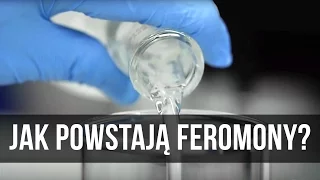 Jak powstają Feromony?