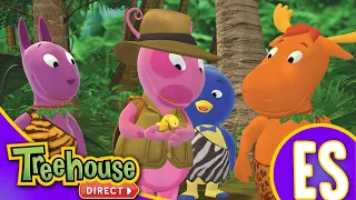 🔴 Los Backyardigans (en Español) - ¡Transmisión en Vivo!