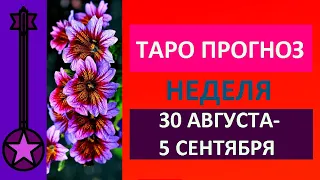 Неделя  30 августа -5 сентября  2021 Таро прогноз.