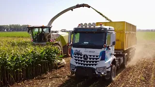 Mercedes-Benz Arocs 2051 AK 4x4 AGRO MOVER |Siláže Kukuřice 2023 | Claas Jaguar 960